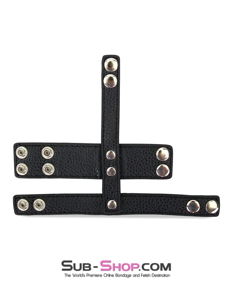 0342M-SIS      Sissy Boi's 1.5 Ball Stretcher and Cock Straps