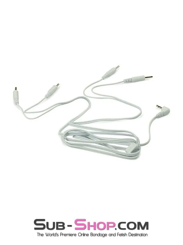 2301M      Electro Sex Power Box Wires. 4 Plug Type Connectors