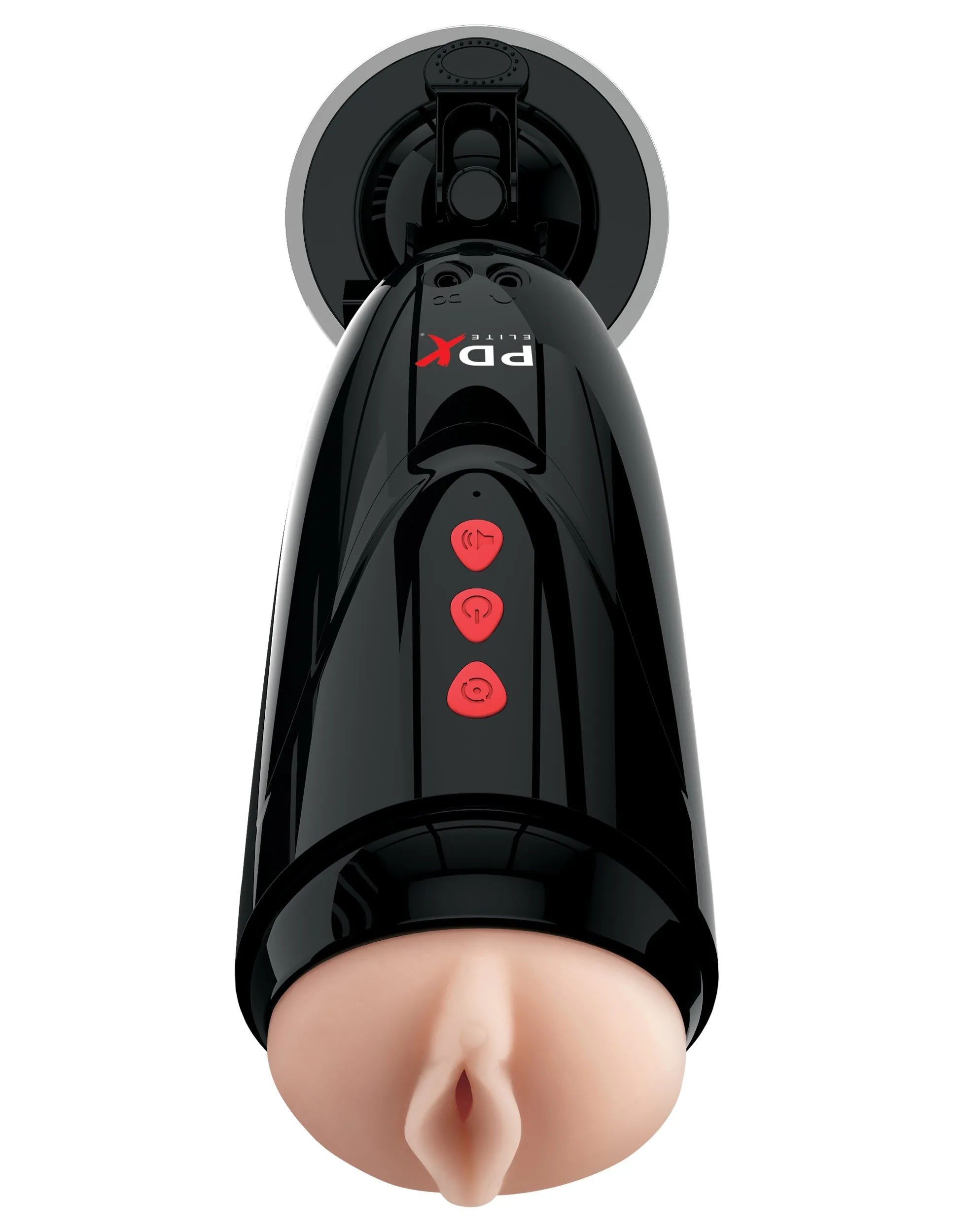 PDX Elite - Dirty Talk Starter Stroker