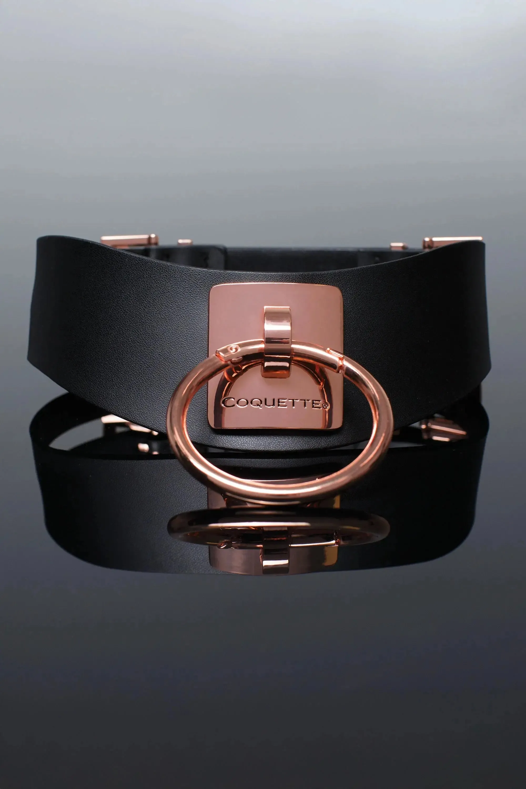Rose Gold BDSM Collar Bondage Choker