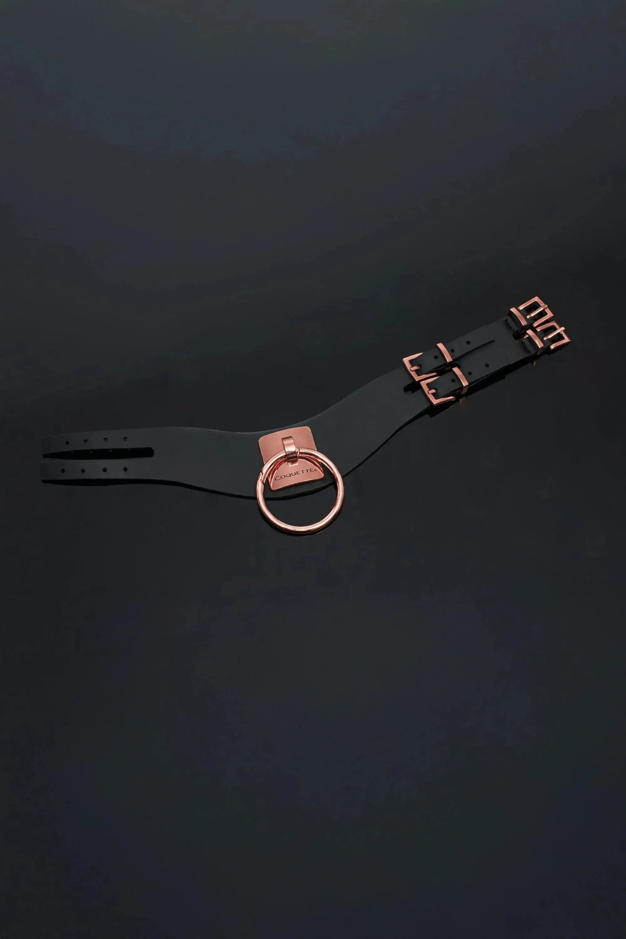Rose Gold BDSM Collar Bondage Choker