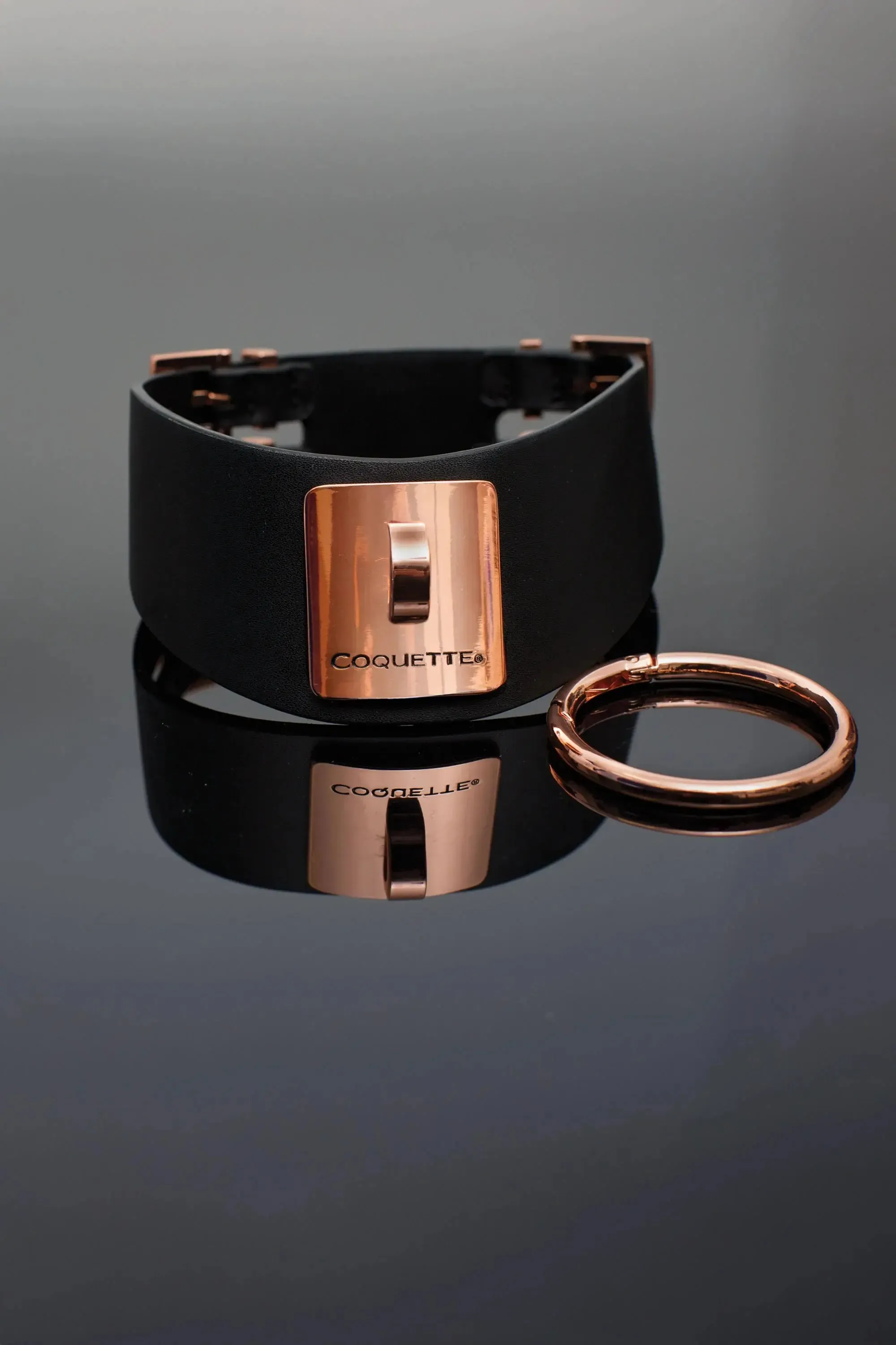 Rose Gold BDSM Collar Bondage Choker