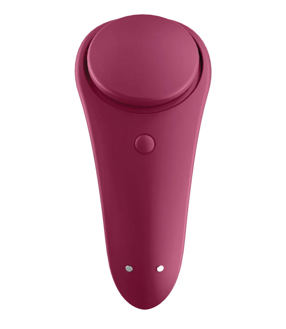 Sexy Secret Panty Vibrator