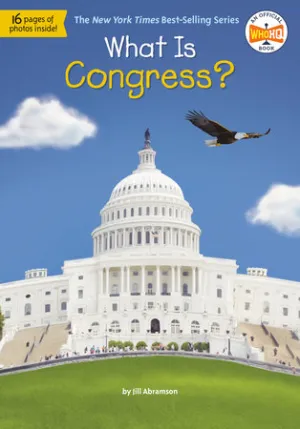 What is Congress?